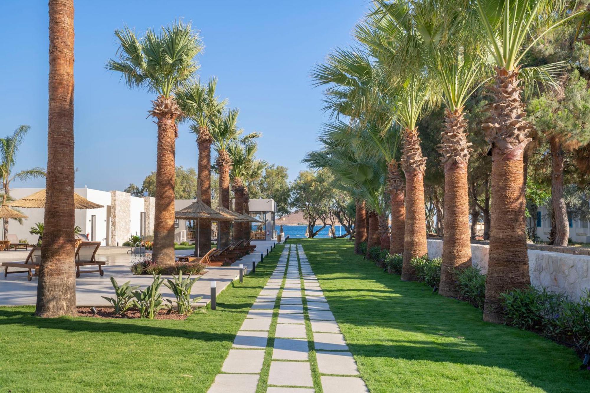 Regia Mare Beach Hotel & Spa Bodrum Ortakent Εξωτερικό φωτογραφία